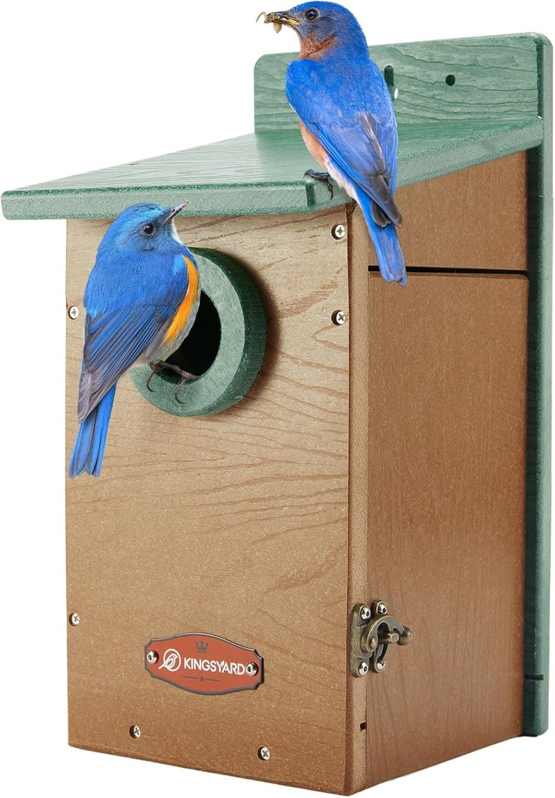 Kingsyard Recycled Plastic Bird House for Outdoor - Durable Nesting Box with Clear View Panel & Predator Guard for Bluebird Wren Swallow Finch, Green & Brown - Image 1